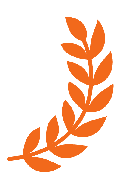 Decorative Icon Right